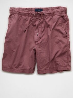 AEO Trekker Short Men’s Small Purple